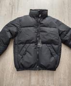 Heren / jongens winterjas Pull & Bear, mt M, Kleding | Heren, Jassen | Winter, Ophalen of Verzenden, Nieuw, Maat 48/50 (M), Zwart
