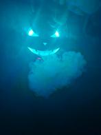 Pompoen rookmachine!, Hobby en Vrije tijd, Ophalen of Verzenden, Nieuw, Feestartikel, Halloween of Griezel