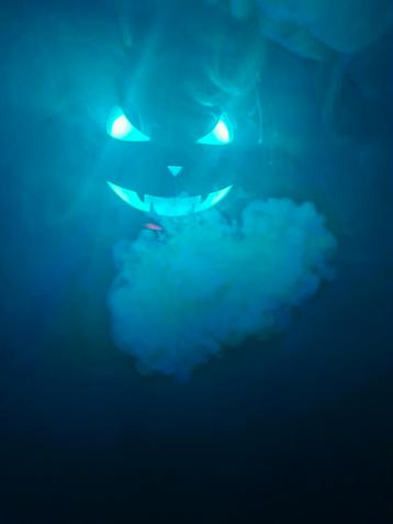 Pompoen rookmachine!  beschikbaar voor biedingen