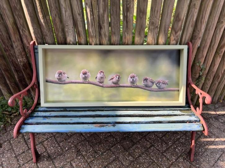 Feestdagtip! Vogelvoederlijst '7 Mussen Op Een Rij', Tuin en Terras, Vogelhuisjes en Vogelbaden, Nieuw, Ophalen