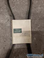 Jaguar XJ6 XJ12 - Verschillende V-snaren, Auto-onderdelen, Motor en Toebehoren, -, -, Nieuw, Ophalen of Verzenden