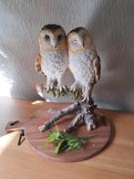 Mooi groot uilen beeld te koop, Verzamelen, Ophalen of Verzenden, Nieuw, Dier