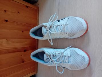 Asics sportschoenen een half seizoen gebruikt. Maat 44 beschikbaar voor biedingen