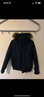 Tommy hilfiger jas, Ophalen, Jongen of Meisje, Jas, Tommy Hilfiger