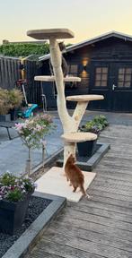 Kattenpaal voor binnen of buiten, Dieren en Toebehoren, Ophalen of Verzenden, Zo goed als nieuw, Krabpaal