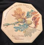 Vintage engels achthoekig blik hefst, Verzamelen, Blikken, Ophalen of Verzenden, Gebruikt, Overige