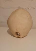 Schedel Orc MM248, Ophalen of Verzenden, Zo goed als nieuw, Fantasy