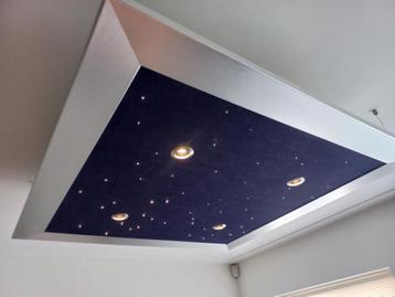 Originele design plafond verlichting merk Triolight beschikbaar voor biedingen