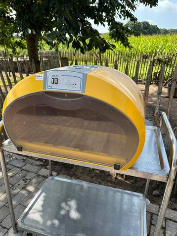Grote broedmachine beschikbaar voor biedingen