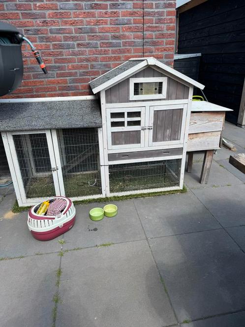 Buitenhok Cavia of Konijnen, Dieren en Toebehoren, Knaagdieren en Konijnen | Hokken en Kooien, Gebruikt, Kooi, Minder dan 60 cm