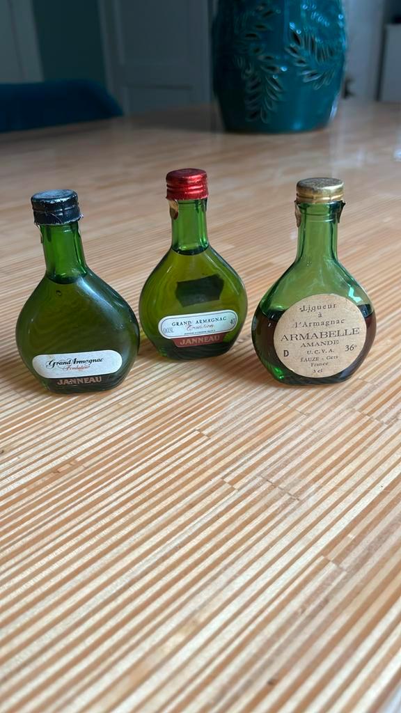 Miniatuurflesjes Armagnac, Verzamelen, Wijnen, Zo goed als nieuw, Frankrijk, Ophalen of Verzenden