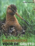 Halbe Hettema Grondrecht voor de grutto, Ophalen of Verzenden, Zo goed als nieuw, Vogels