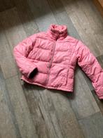 Ski - jas voor dames maat 38/40 Gaastra, Ophalen of Verzenden, Zo goed als nieuw, Maat 38/40 (M), Jack