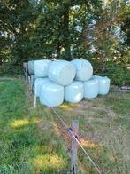 Midibalen, Dieren en Toebehoren, Dierenvoeding, Ophalen, Vee