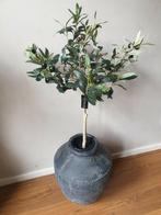 Kunst olijfboom op stam - olijf - plant - olijfboom, Nieuw, Ophalen of Verzenden