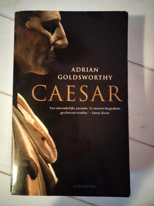 Adrian Goldsworthy - Caesar, Boeken, Geschiedenis | Wereld, Gelezen, Ophalen of Verzenden