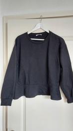 Zara trui zwart maat L, Ophalen of Verzenden, Zo goed als nieuw, Maat 46/48 (XL) of groter, Zwart