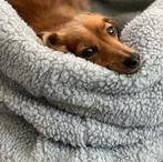 Hondenmand Teddy grijs – knus bed voor honden, Ophalen of Verzenden, Nieuw, Pluche