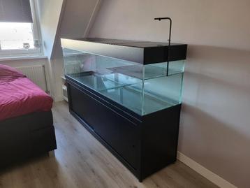 Schildpadden aquarium (201x51x128cm) beschikbaar voor biedingen