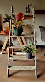 Oude Decoratieve Trap ladder  - Schilderstrap / Plantentrap, Doe-het-zelf en Verbouw, Ladders en Trappen, Ophalen, Gebruikt, Trap