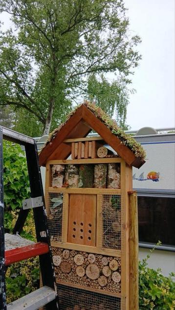 Insectenhotel met Sedum Dak - 170cm beschikbaar voor biedingen