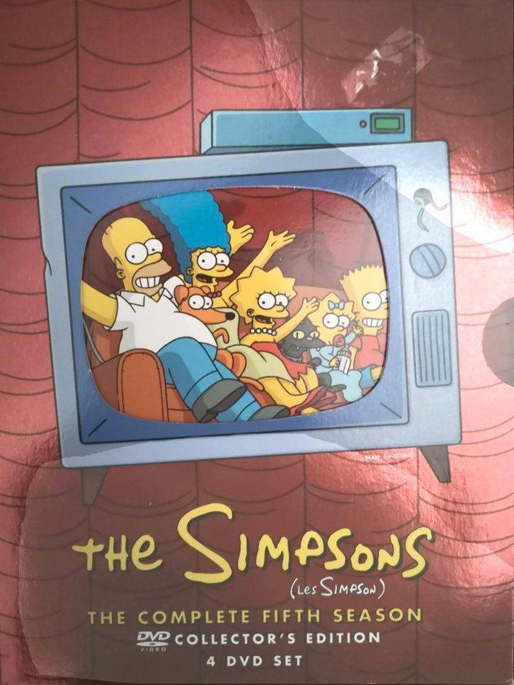 DVD Box The Simpsons - Seizoen 5, Cd's en Dvd's, Dvd's | Kinderen en Jeugd, Zo goed als nieuw, Tv fictie, Avontuur, Boxset, Vanaf 6 jaar