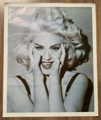 poster Madonna / Patrick Swayze, Rechthoekig Staand, Verzenden, Deurposter of groter, Zo goed als nieuw