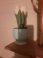 Leuk kunsplantje, Ophalen of Verzenden, Zo goed als nieuw