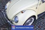 Volkswagen Beetle Cabriolet | 1966 | Route 66 Auctions, Overige carrosserieën, Volkswagen, Zwart, Bedrijf