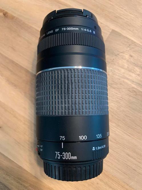 Canon Zoomlens EF 75-300mm 1.4-5.6 |||, Audio, Tv en Foto, Fotografie | Lenzen en Objectieven, Zo goed als nieuw, Telelens, Ophalen