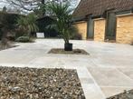 Bourgondische dallen groot assortiment scherpe prijzen!!, Ophalen of Verzenden, Nieuw, 75 m² of meer