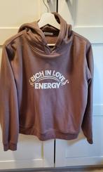 Hoodie bruin maat L The Sting Revelation, Kleding | Dames, Ophalen of Verzenden, Zo goed als nieuw, Maat 38/40 (M), Bruin