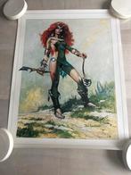 Don Lawrence - Storm - poster Roodhaar, Boeken, Stripboeken, Eén stripboek, Ophalen of Verzenden, Zo goed als nieuw