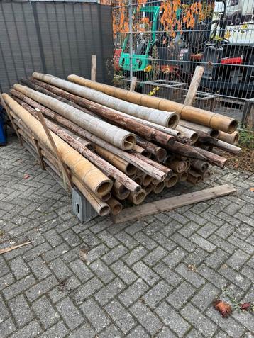 ✅ Bamboepalen (Partij) beschikbaar voor biedingen