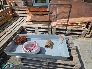 Knaagdier cavia hok beschikbaar voor biedingen