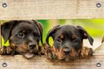 Tuinposter-Schuttingposter Puppy's door schutting 105x70 cm, Verzenden, Nieuw, Info@goodsmiling.com, GoodSmiling.com