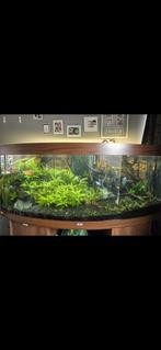 Aquarium volledig functionerend, Dieren en Toebehoren, Ophalen, Zo goed als nieuw, Leeg aquarium