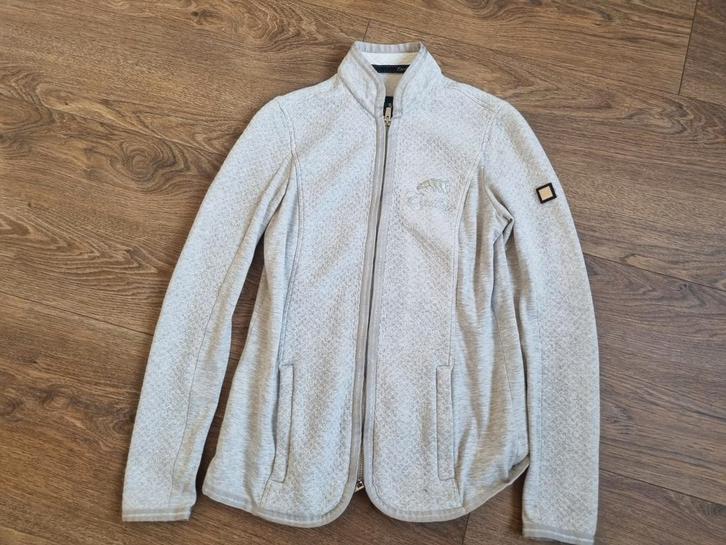Equiline vest maat M, Dieren en Toebehoren, Paardrijkleding, Zo goed als nieuw, Bovenkleding, Dressuur, Ophalen