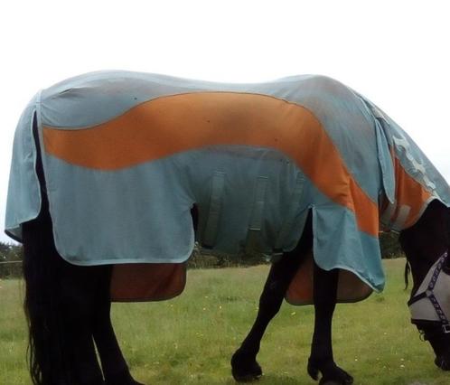 goede vliegen uv deken paard 197, Dieren en Toebehoren, Paarden en Pony's | Dekens en Dekjes, Deken, Ophalen