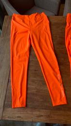 Legging fel oranje loopgroep, Ophalen of Verzenden, Zo goed als nieuw, Maat 38/40 (M), Carnaval