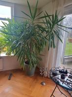 Plant, Ophalen, Overige soorten