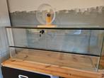 Knappe glazen hok 100x40x40, Dieren en Toebehoren, Gebruikt, Hamster, Hok, 75 tot 110 cm