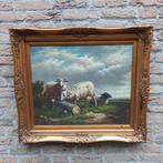 Schilderij schapen gesigneerd kunst lijst eddy, Ophalen