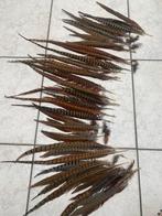 Fazant veren, Ophalen of Verzenden, Zo goed als nieuw