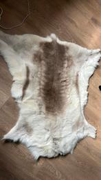 Rendierhuid Fins Lapland, Huis en Inrichting, Ophalen, Zo goed als nieuw