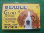 koelkastmagneet Beagle, Ophalen of Verzenden, Nieuw, Hond of Kat, Overige typen