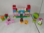 Duplo set met een kindje, kip en konijn, Gebruikt, Ophalen of Verzenden, Duplo, Duplo
