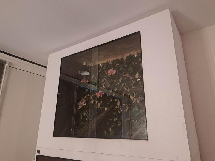 Mooi groot terrarium obs., Dieren en Toebehoren, Reptielen en Amfibieën | Toebehoren, Zo goed als nieuw, Terrarium of Paludarium
