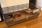 Prachtige cavia kooi met benodigdheden, Kooi, 110 cm of meer, Zo goed als nieuw, Cavia