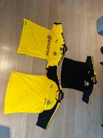 Dortmund Shirts, Maat 52/54 (L), Overige kleuren, Ophalen of Verzenden, Zo goed als nieuw